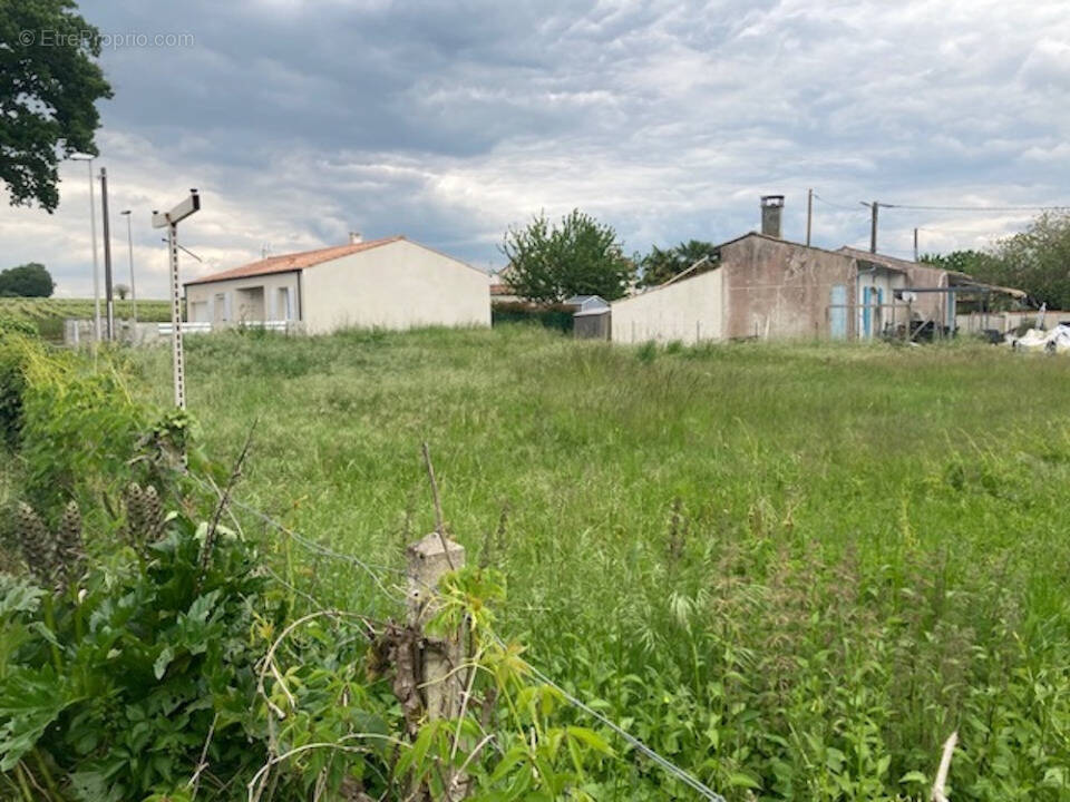 Terrain à CHANIERS