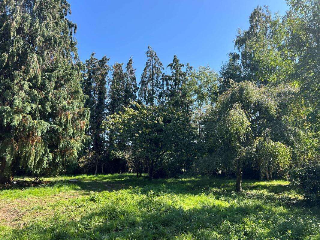 Maison à SAINT-AGIL