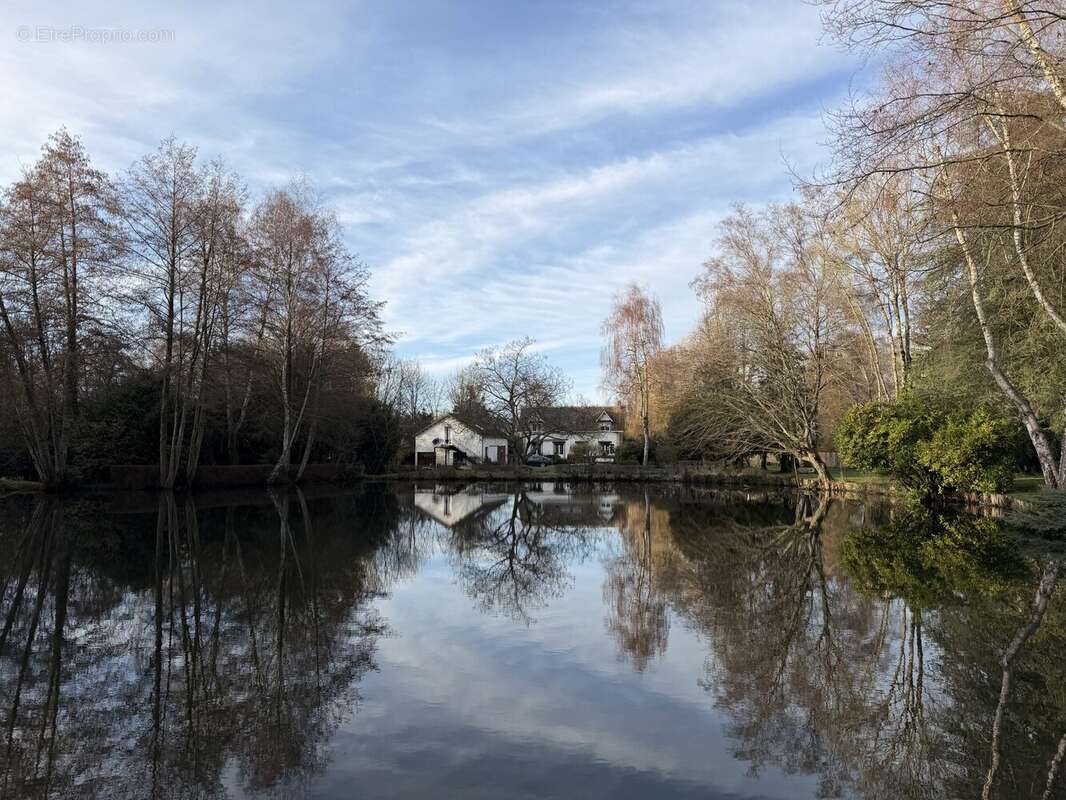 Vue depuis lac - Maison à TORCE-EN-VALLEE