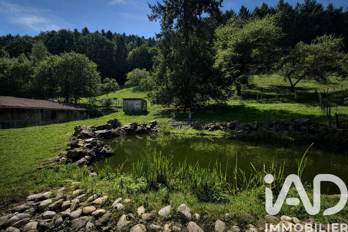 Photo 8 - Maison à SAINTE-CROIX-AUX-MINES