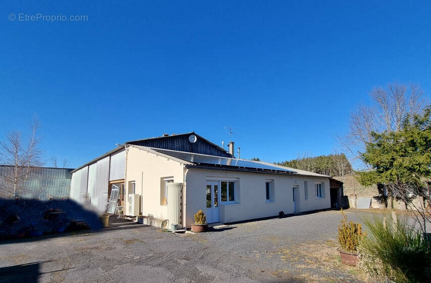 Commerce à SAINT-JEURES