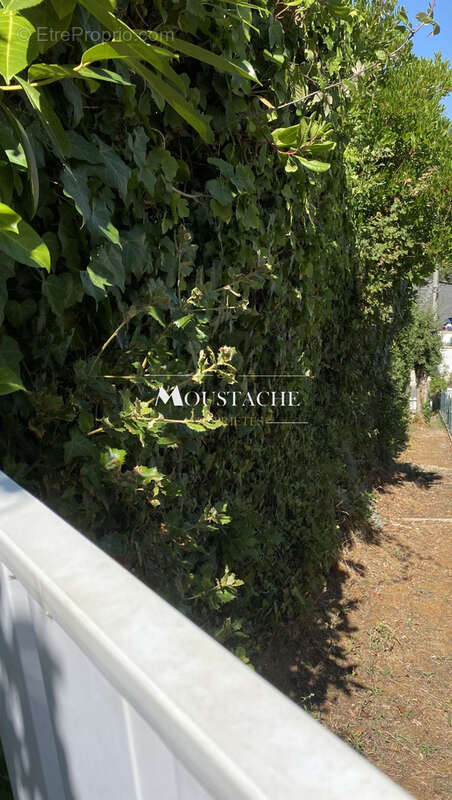 Villa balnéaire à l'emplacement exceptionnel - accès privé à la plage - - photo 30