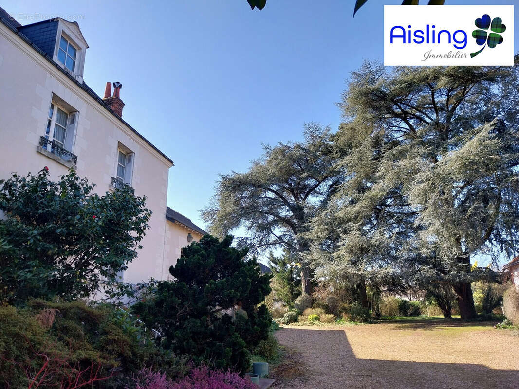 Maison à JOUE-LES-TOURS