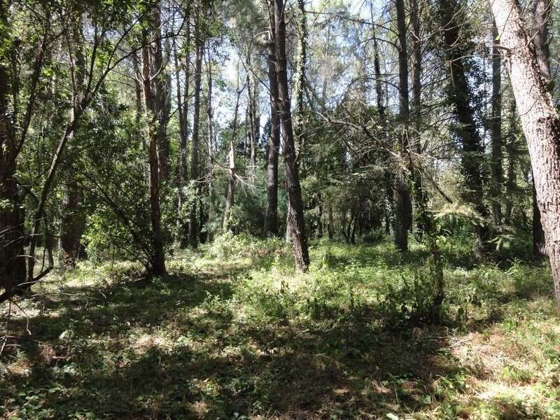 Terrain à VILLEPINTE