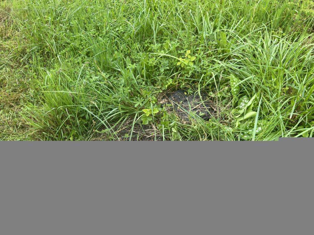 Terrain à PUTTELANGE-AUX-LACS