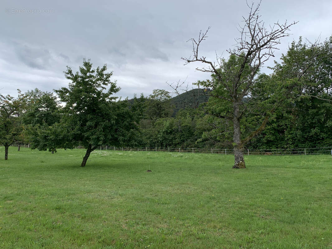Terrain à PLANCHER-BAS