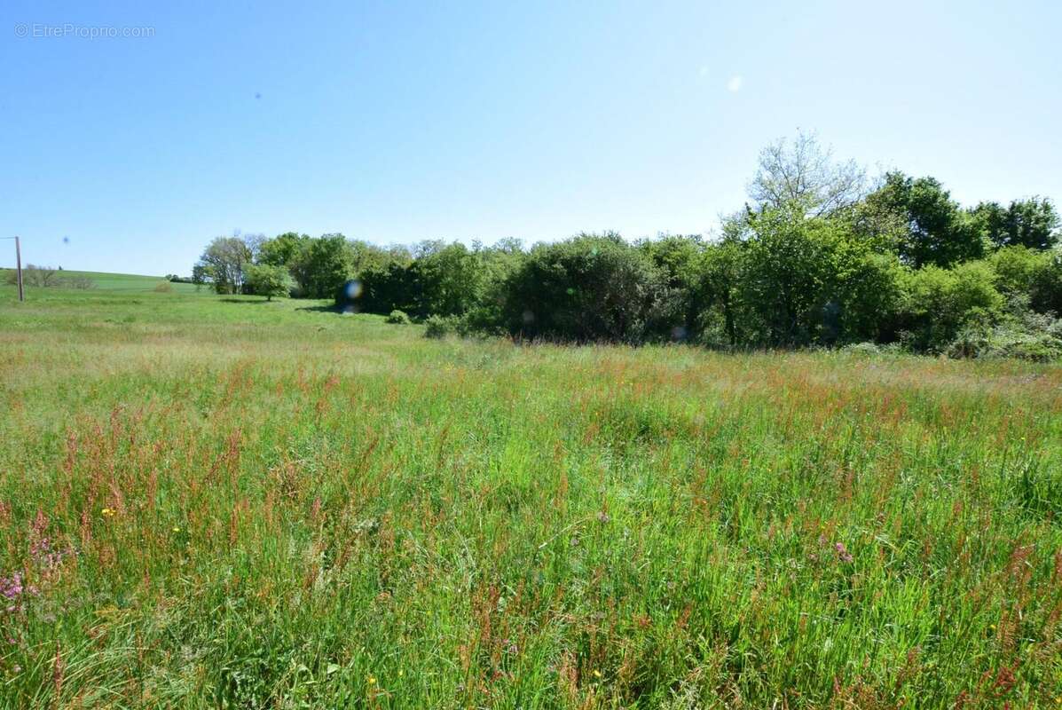 DSC_1058 - Terrain à AURIGNAC