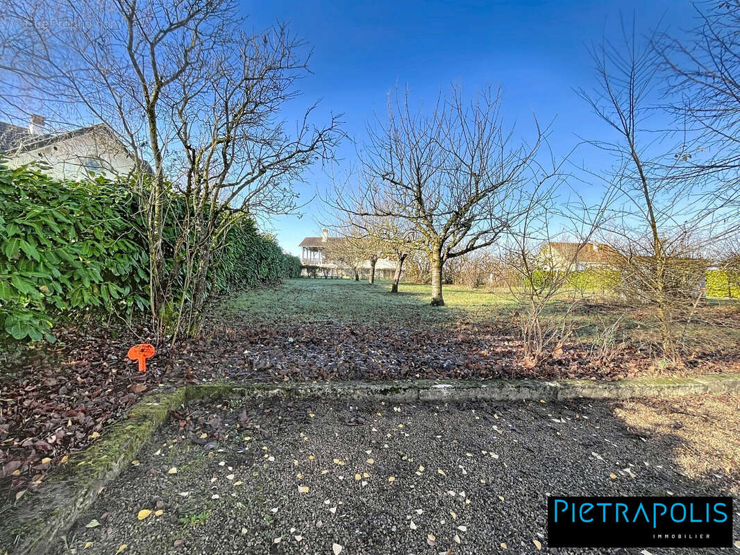 Terrain à CRECHES-SUR-SAONE