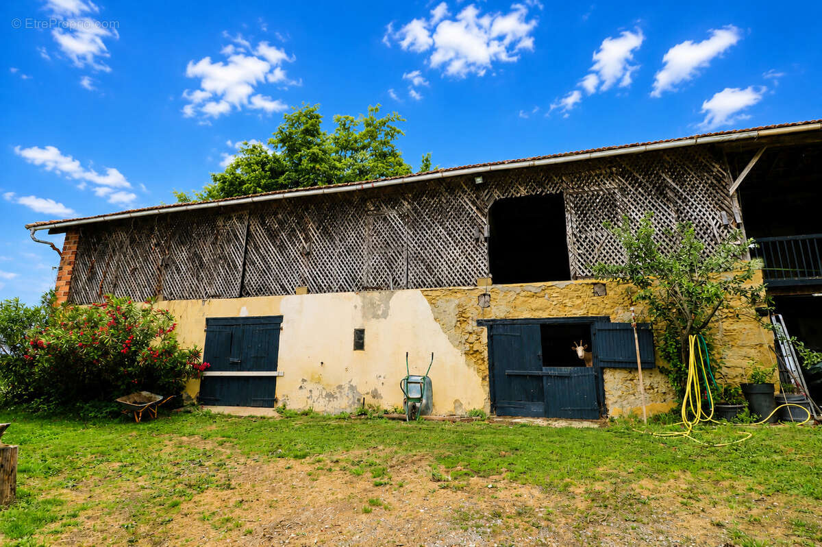 Maison à MASSEUBE