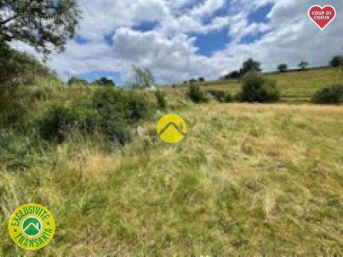 Terrain à PIERREFORT