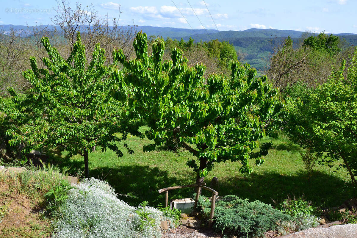COURNIOU  dans hameau en pleine nature  maison  de 97 m² avec terrasse et jardins - photo 17