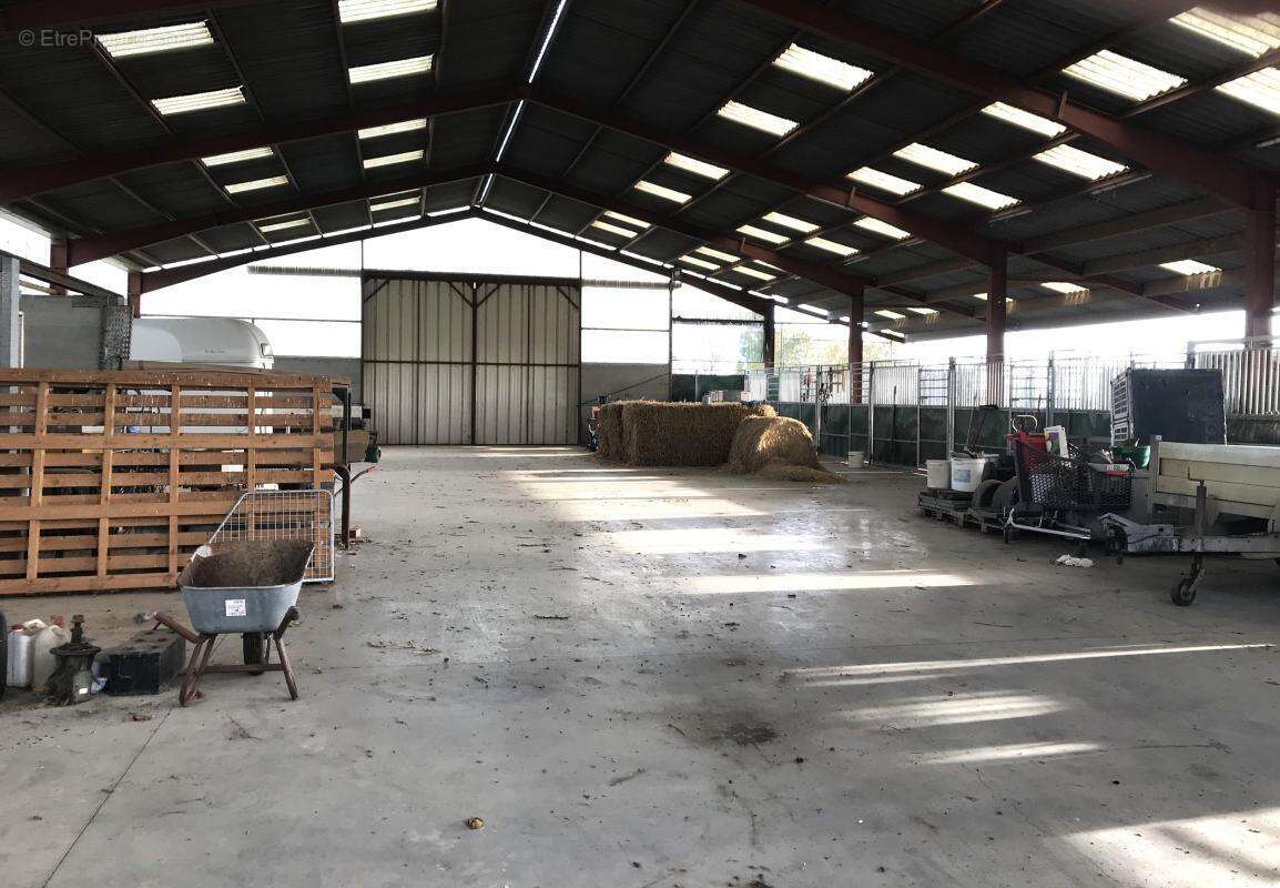 Appartement à BERSEE