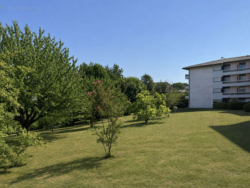 Grand T3 traversant de 79,39 m2 (loi Carrez) avec vue ! - photo 2