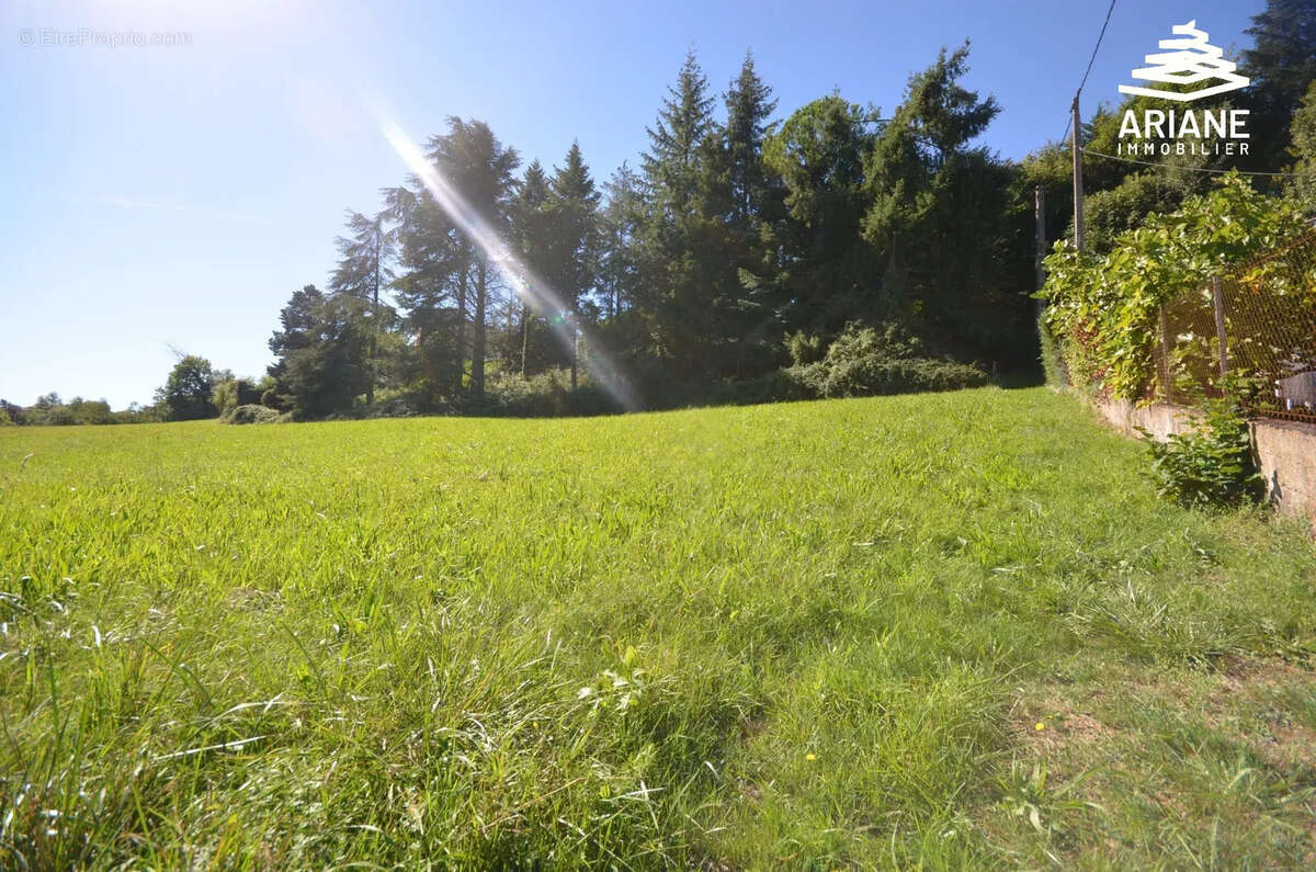 Terrain à viabiliser- 2500 m2 constructible - vente en 1 lot - photo 3