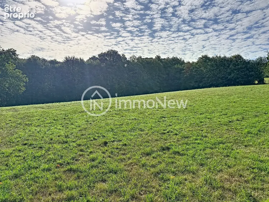 Grange a renover 100 m2 en lisiere de foret vue exceptionnelle sur 4 hectares environ - photo 15
