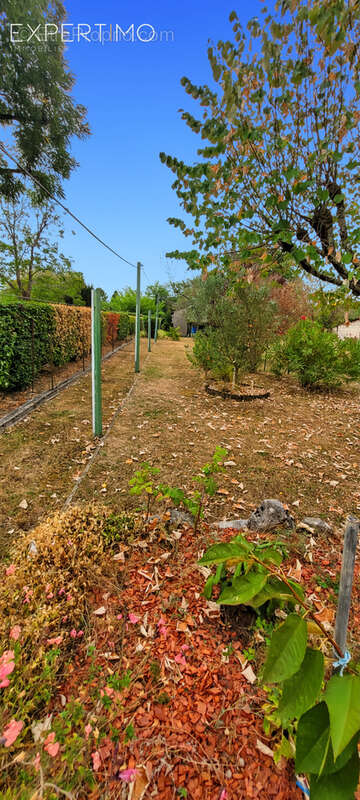 Autre à L'ISLE-D'ESPAGNAC