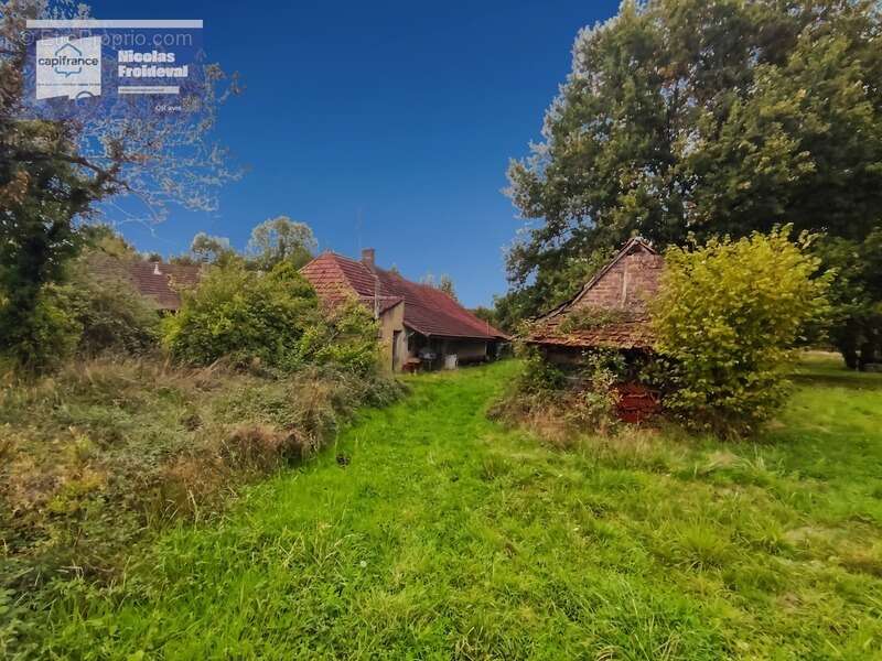 Maison à SAVIGNY-SUR-SEILLE