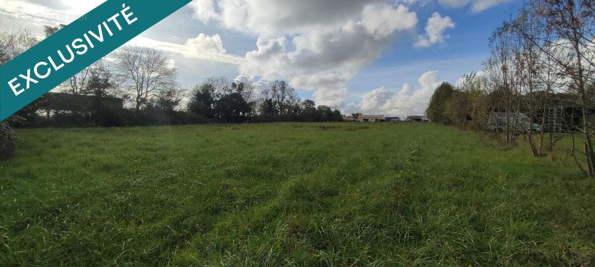 Photo 5 - Terrain à GENOUILLE