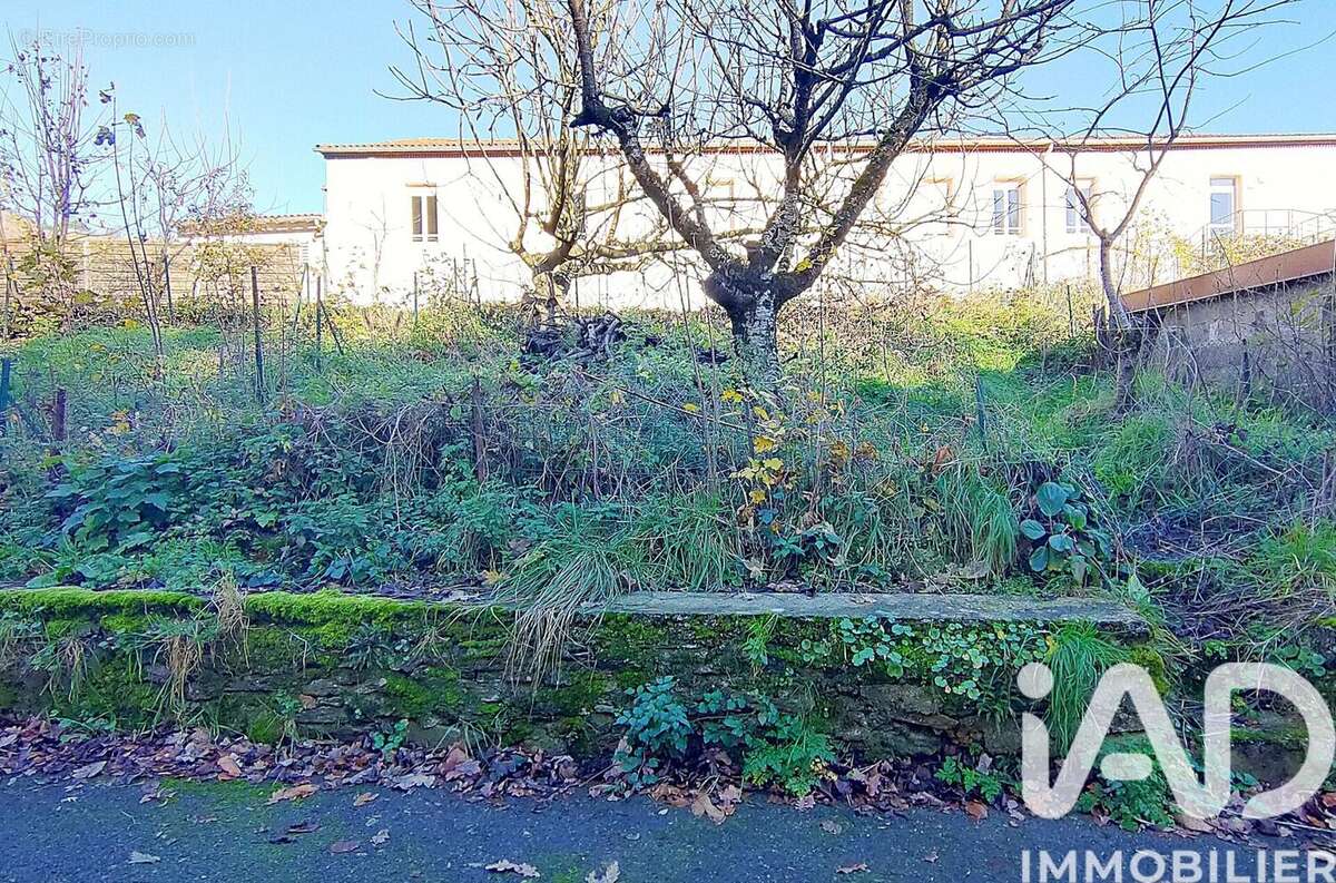 Photo 4 - Maison à LABASTIDE-ROUAIROUX
