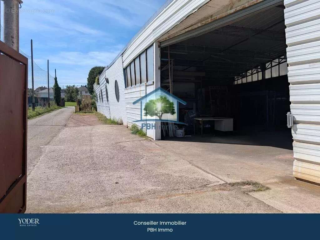 Commerce à NIEDERMODERN