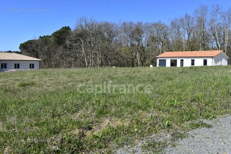 Terrain 750 m² à CURSAN (CREON) - photo 4