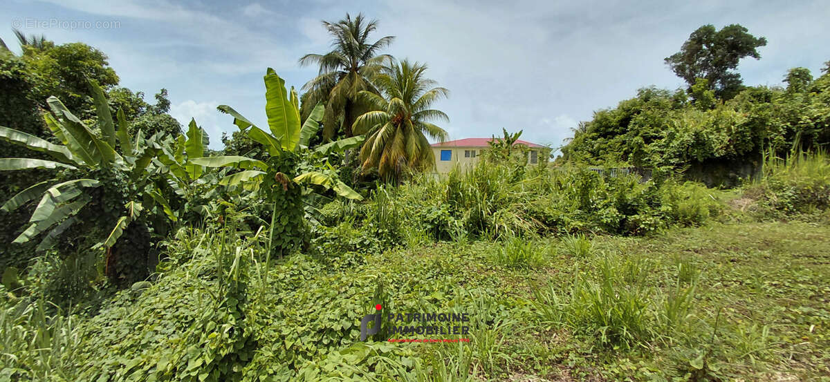Terrain à GOYAVE