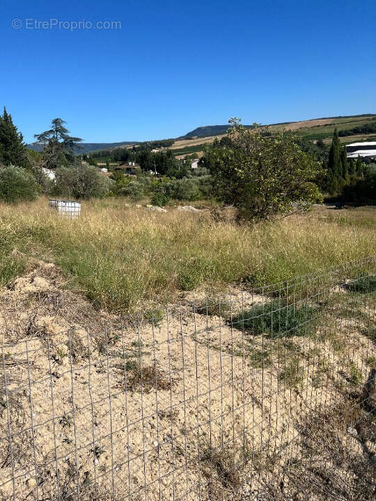 A vendre terrain constructible  de 1440m2  proche limoux - photo 3