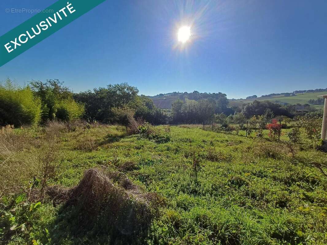 Photo 4 - Appartement à CARLUS