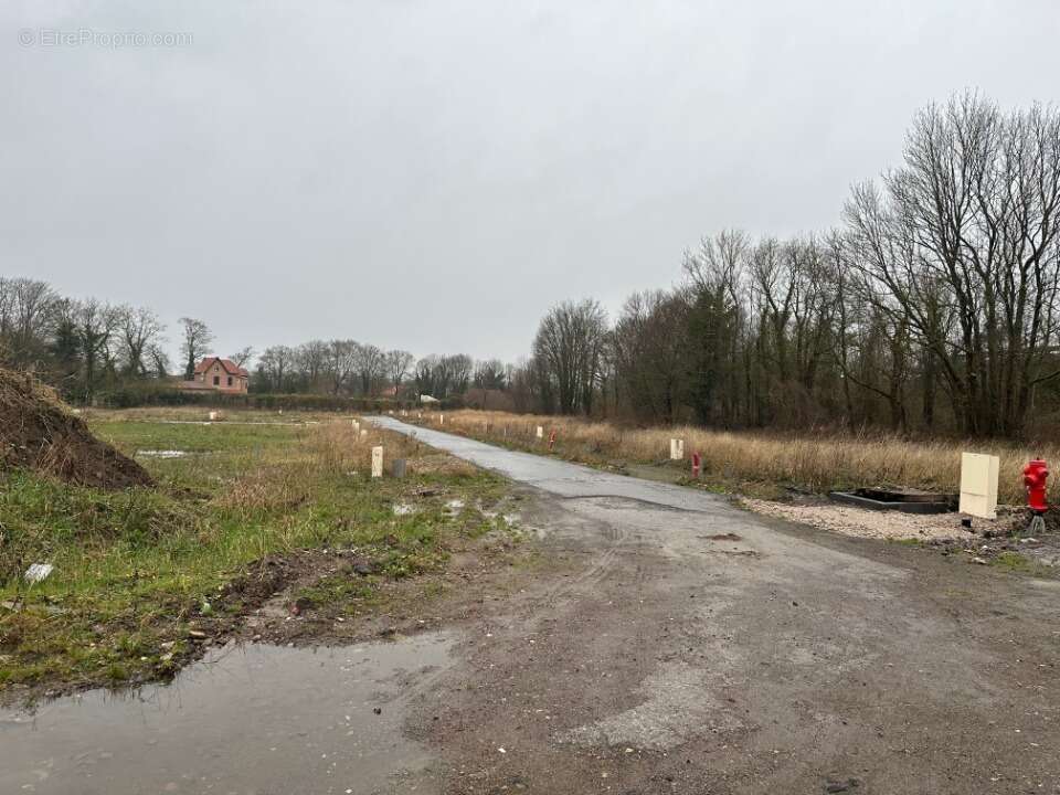 Terrain à HENIN-BEAUMONT