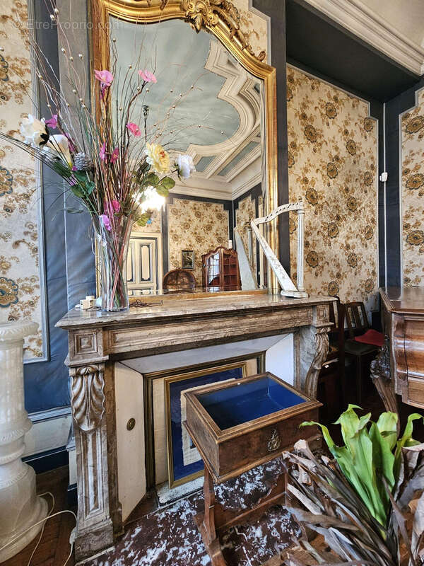 La cheminée d'époque en marbre et ses parquets en chêne