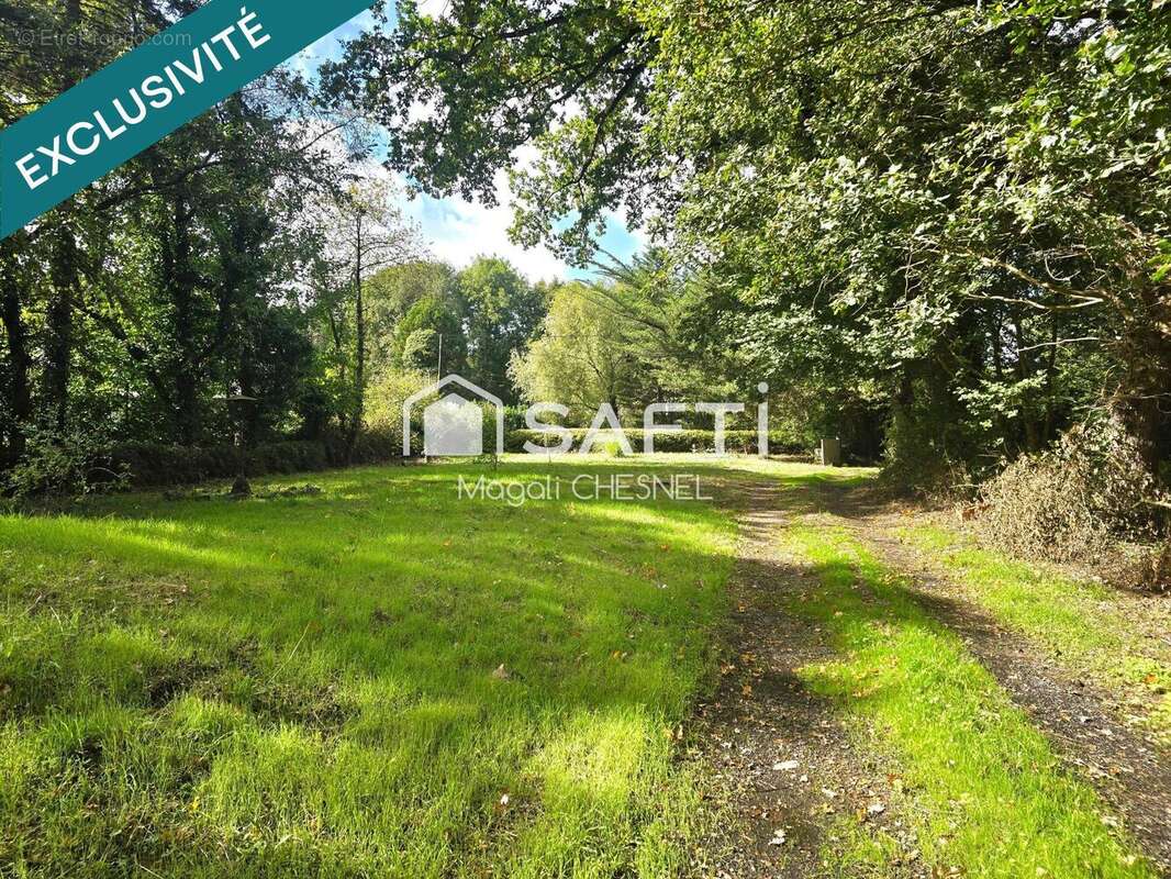 Photo 3 - Maison à SAINT-GILLES