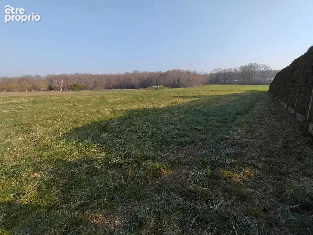 Photo Terrain à Villebougis au prix de 39 200€