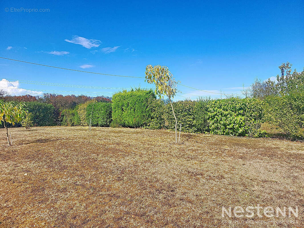 A Vendre Maison en pierre de 79 m² avec dépendances de 116 m² dans un hameau de Lagraulet-du-Gers - photo 11