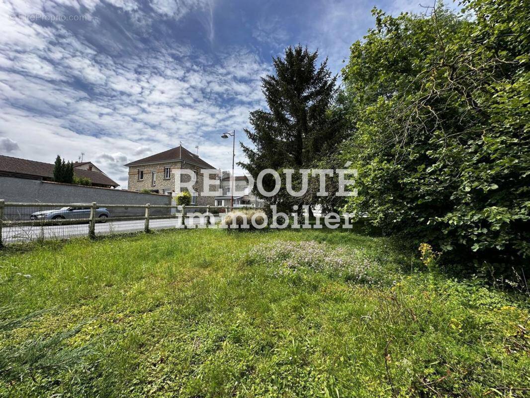 Terrain à BEINE-NAUROY