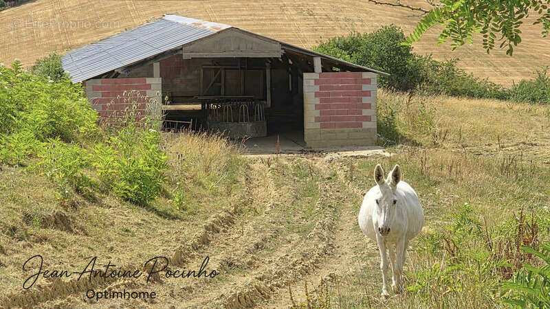 Maison de campagne à vendre 9 pièces  (31) - photo 14