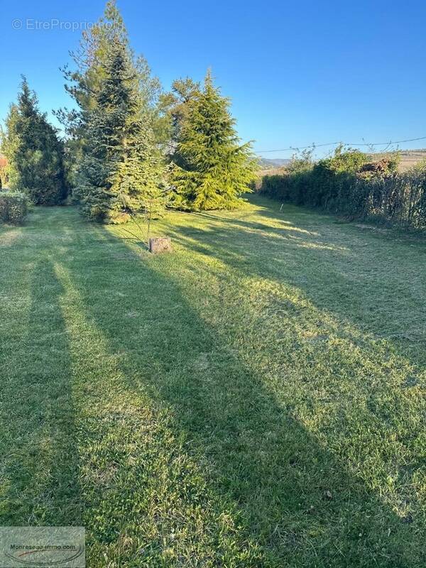 Terrain à PRISSE