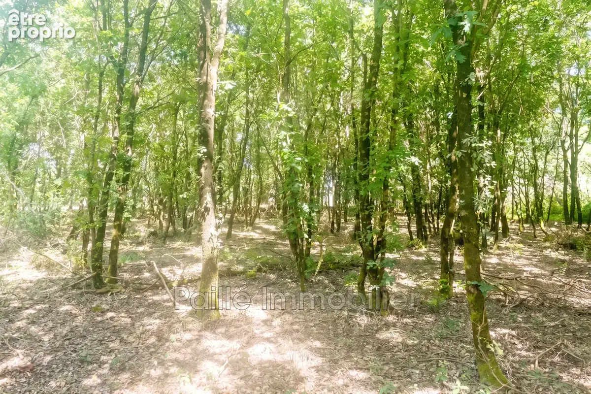 Terrain à TALAIS