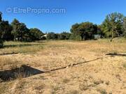 Terrain à VERS-PONT-DU-GARD