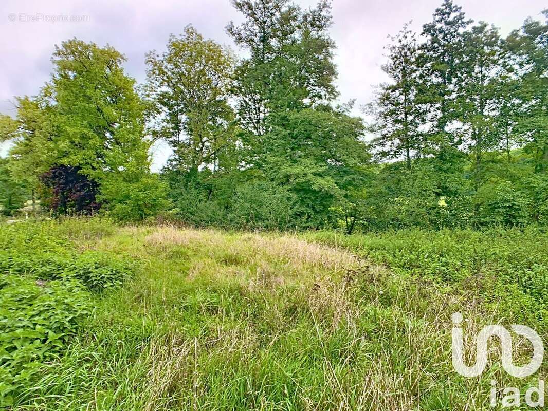 Photo 7 - Maison à POULANGY