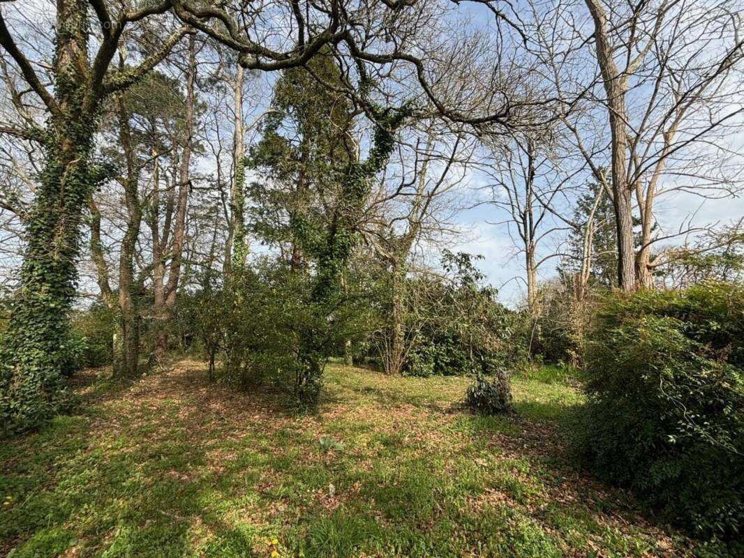 Maison à vendre 7 pièces TERCIS LES BAINS (40), avec deux terrains détachables - photo 17