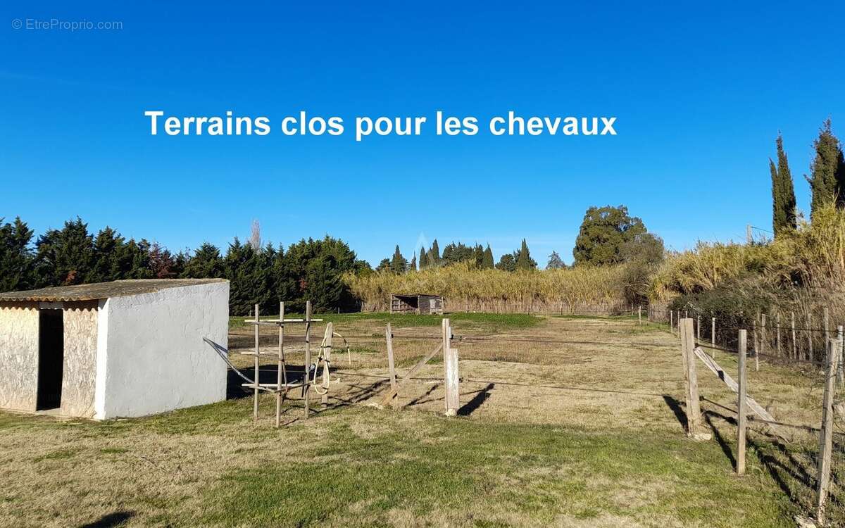 Maison à FOURQUES