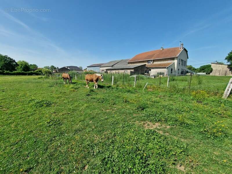 Propriété à vendre 8 pièces proche nancy (54) sur 1,8 hectare - propriété agricole avec ferme rénovée, dependances, ecuries, gra - photo 14