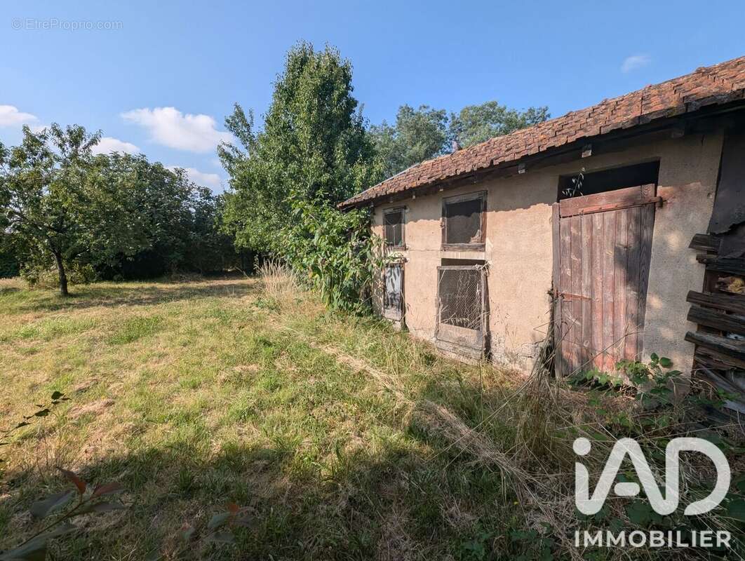 Photo 3 - Maison à ALBI