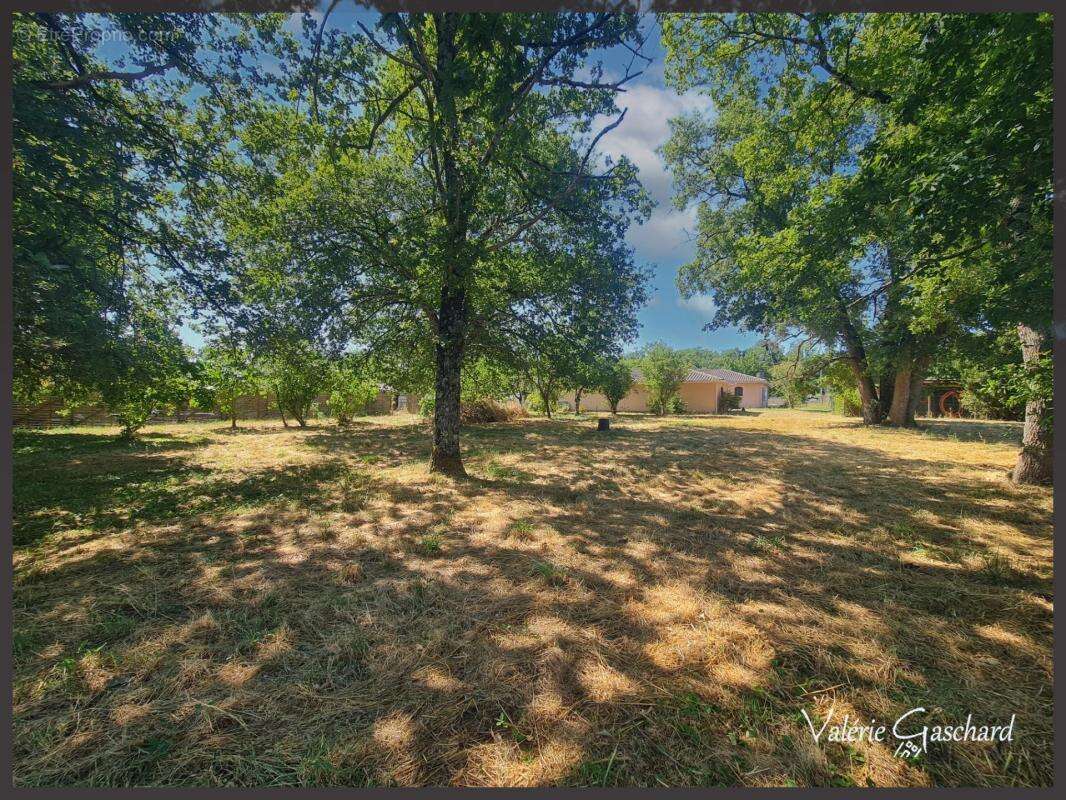 Le Pizou (dordogne) maison de 128 m² +  2850 m² de terrain et triple garage - photo 2