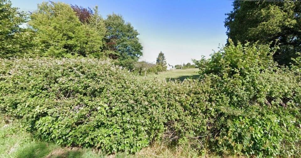 Terrain à BEUZEVILLE