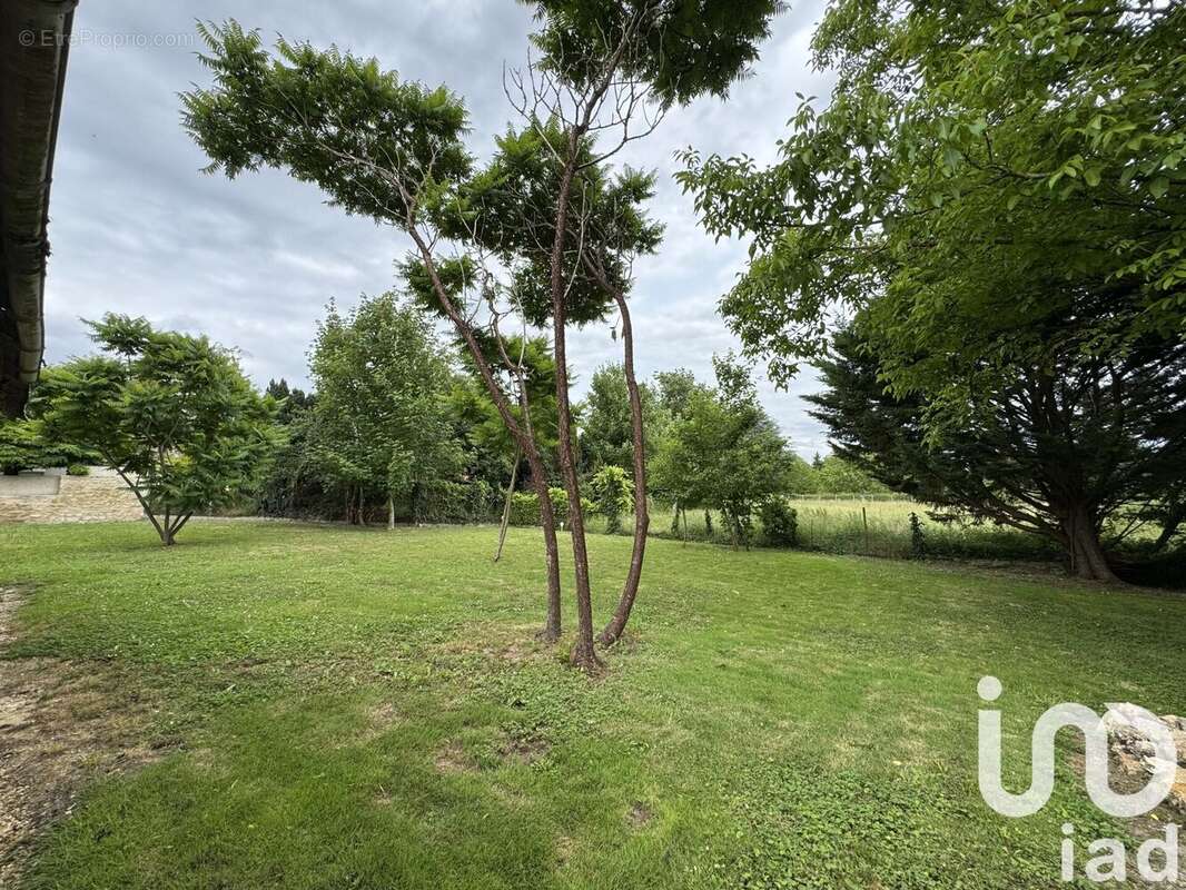 Photo 3 - Maison à BENAIS