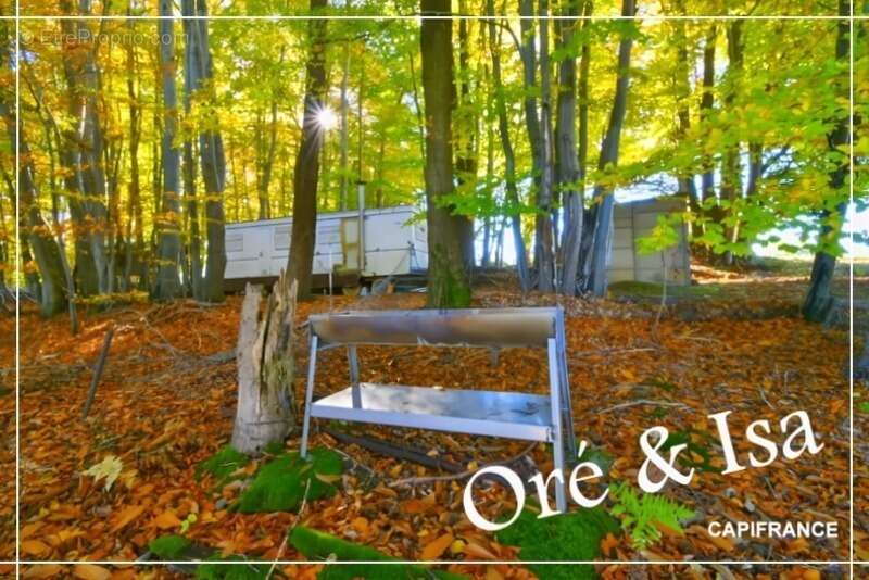 Terrain à SAINT-DESIRE