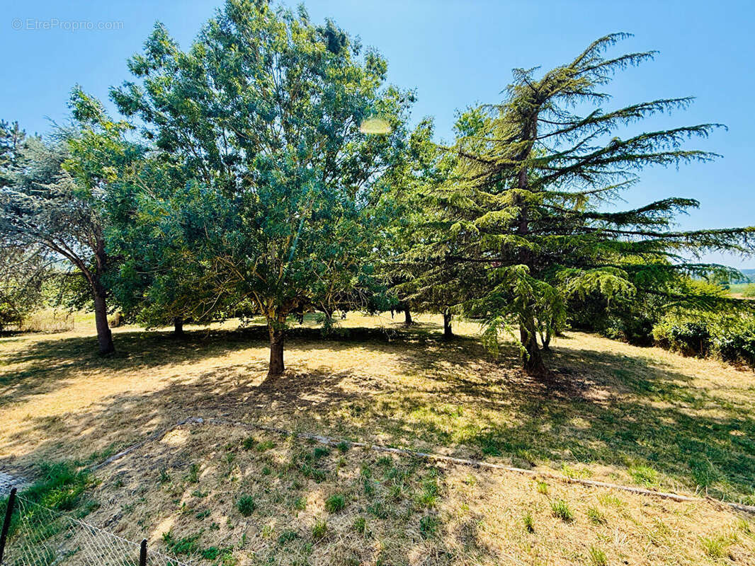 Maison avec grand parc - photo 6