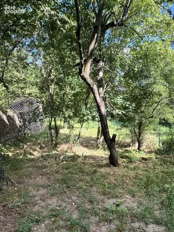 n°7