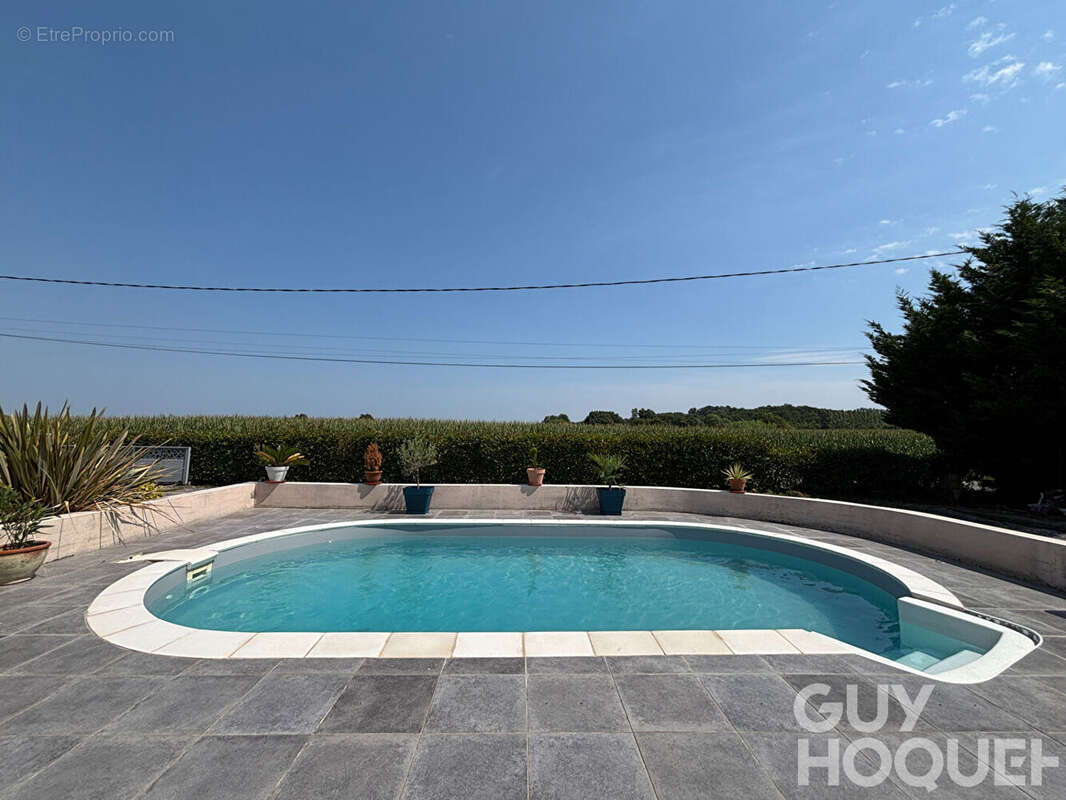 Coup de coeur, volumes, confort, piscine et calme absolu ! - photo 4
